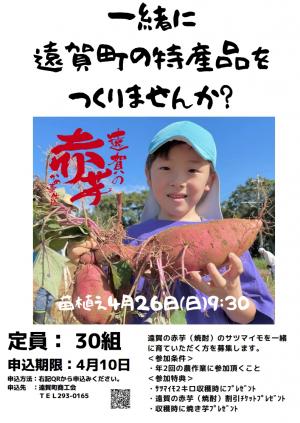 赤芋オーナー募集チラシ