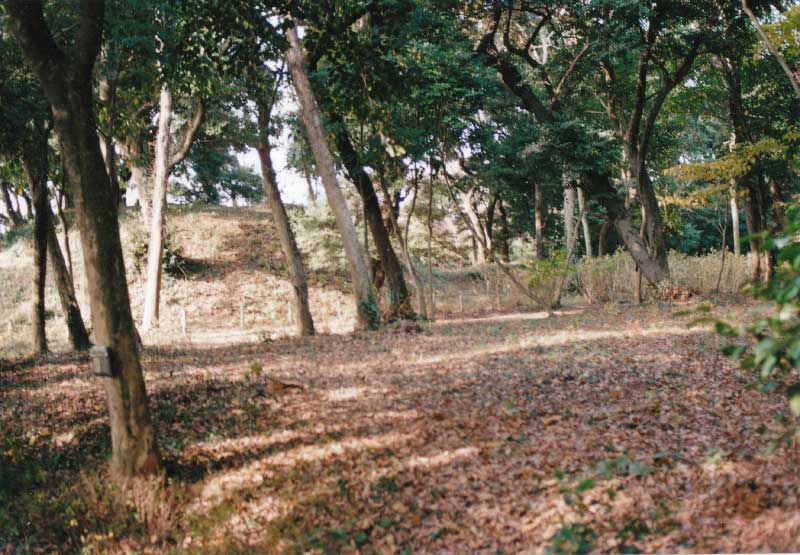 島津・丸山古墳