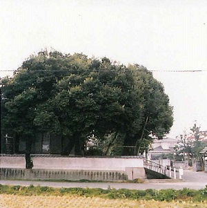 木守神社西側歩いて1分のところにあるの画像