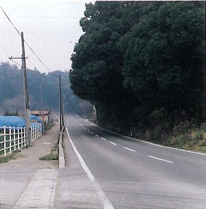 岡垣への道・県道黒山・広渡線の画像
