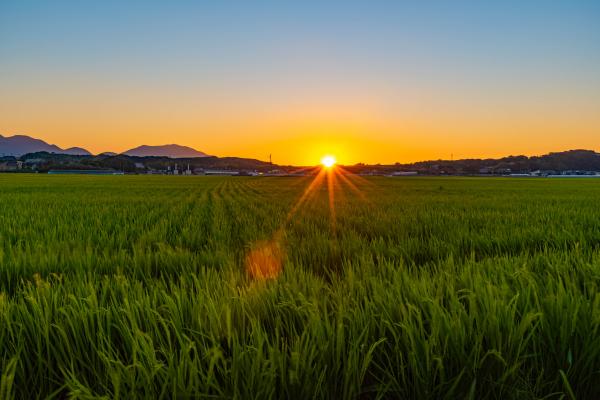 夕日の写真