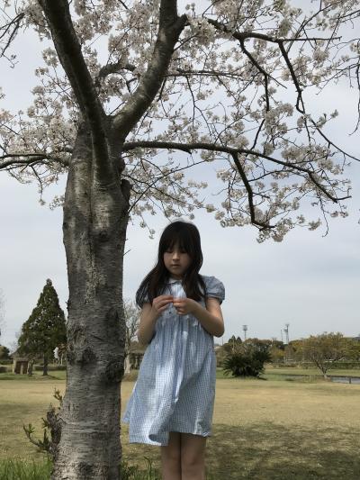桜の木の下に女の子が立っている写真