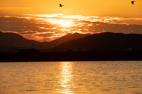 夕焼けと遠賀川の写真
