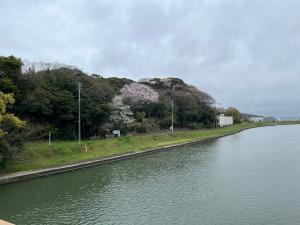 1号木遠景　3月２４日